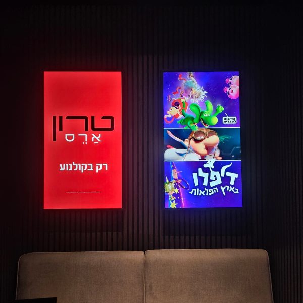 WhatsApp Image 2025-11-12 at 16.49.05